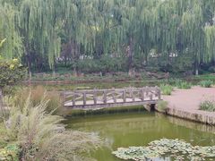 -石家庄市植物园