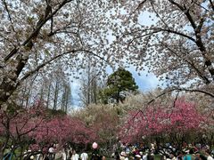 -上方山森林动物世界
