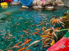 -顺德南宏海立方海洋公园