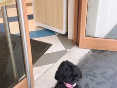 -85度C(上海松江九亭店)