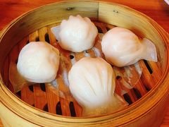 晶莹虾饺皇-颐和•海鲜砂锅粥•啫啫煲(奥林匹克广场店)