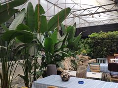 -桉树林A coffee 森林餐厅(三圣乡店)