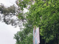 -保利石象湖景区