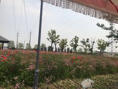 -菊园百果园