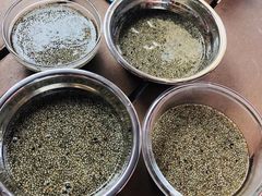 -生态苑农庄(十里画廊遇龙河店)