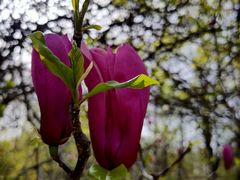 -河南省黄河迎宾馆