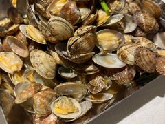 辣炒红岛花蛤-开海·红岛海鲜虾水饺(石老人店)