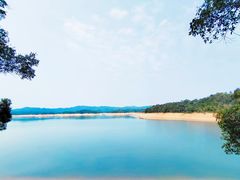 -广州市流溪河国家森林公园