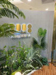 -八佰伴8008星级形象店