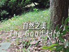 -四里河滨水生态公园