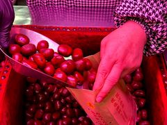 -高记桂花糖炒栗(鼓楼店)