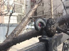 -中国冶金报社-停车场