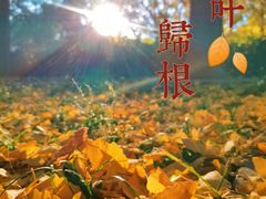 -玲珑塔公园