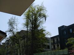 -奎星楼街