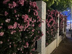 -黄浦路(地铁站)