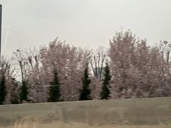 -茯茶镇