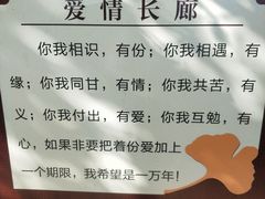 -千年银杏谷文化旅游区
