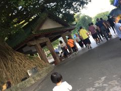 -神光山国家森林公园