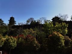 -九华山公园
