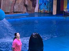 -烟台海昌鲸鲨海洋公园