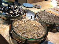 -美盛喜来登大酒店-盛宴标帜餐厅