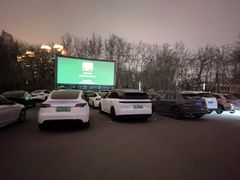 -枫花园汽车电影院(朝阳公园店)