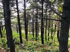 -白草畔自然风景区