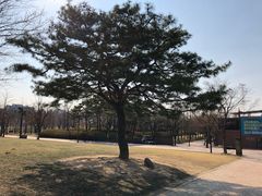 -仙游岛公园