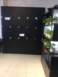 -魔型社