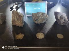 -张之洞与武汉博物馆