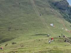 -大姆山草场