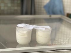 -洪馨椰子
