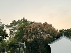 -厦门园林博览苑