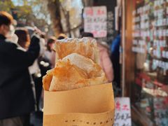 -孙奶奶葱包桧