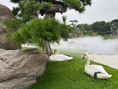 -罗红摄影艺术馆