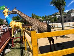 -西霞口神雕山野生动物世界