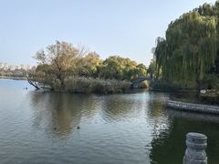 -济南鲁能贵和洲际酒店-第六层自助餐厅