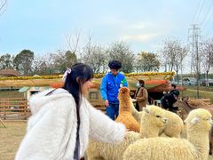 -盈香心动乐园
