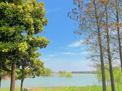 -贡湖湾湿地公园