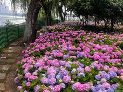 -金银湖国家城市湿地公园