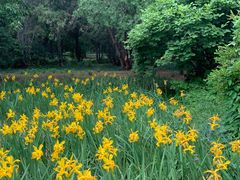 -国家植物园南园