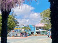 -海合安成都极地海洋公园