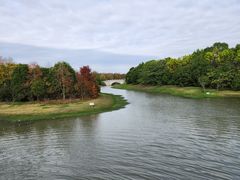 -上海海湾国家森林公园