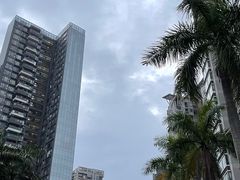 -深圳湾公园(南山区)