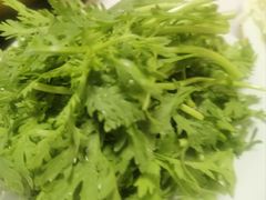 茼蒿杆-穆斯林饭庄(明德南街店)