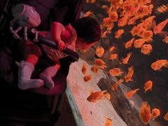 -常州海昌海洋探索馆