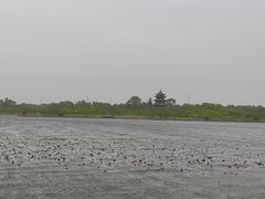 -上海海湾国家森林公园