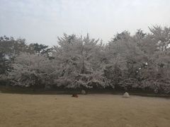 -初见咖啡(青大路店)