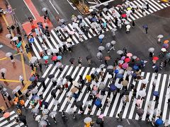 -涩谷全向十字路口