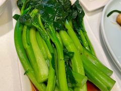 白灼菜心-金鼎轩(亚运村店)